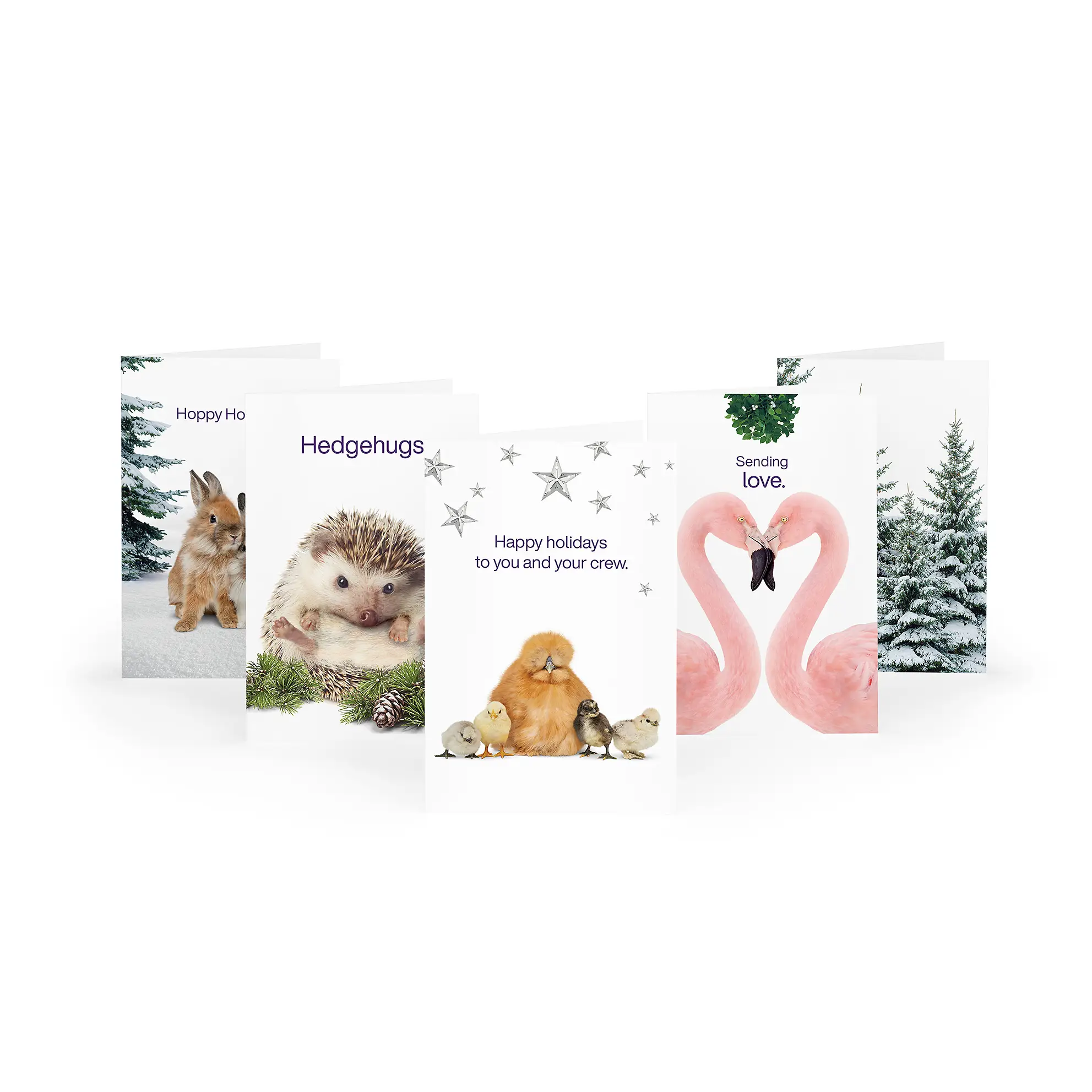 Holiday Greeting Cards: 5 Pack (English)