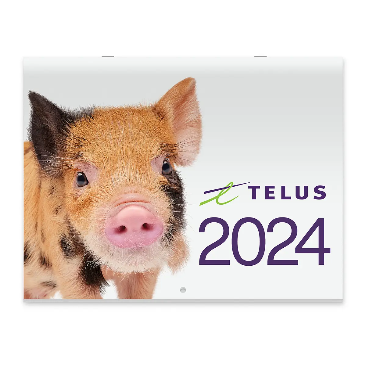 TELUS Merch Shop   C TELUS112.webp